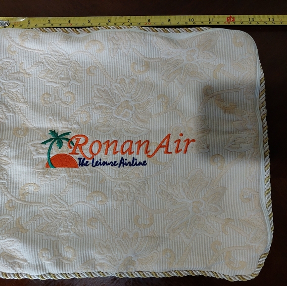 Balenciaga + Ronan Air Pillow Case - Picture 3 of 5